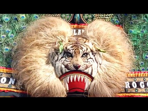 Hebat Pol ‼️ Atraksi Apik Solah Obyok Barongan Reog