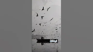 ما يليق بالإنسان الا التواضع د احمد الوائلي 