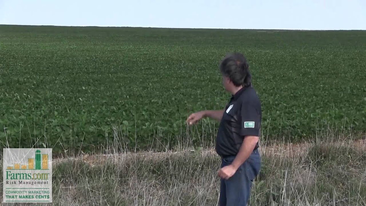 2014 Corn Belt Crop Tour Kansas YouTube