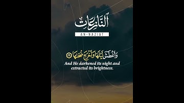 ارح سمعك...حاﻻت واتس اب قرآن#تﻻوة من سورة النازعات القارئ رعد الكردي||حالات واتساب قرآن||