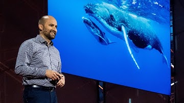 The Future of Machines That Move like Animals | Robert Katzschmann | TED