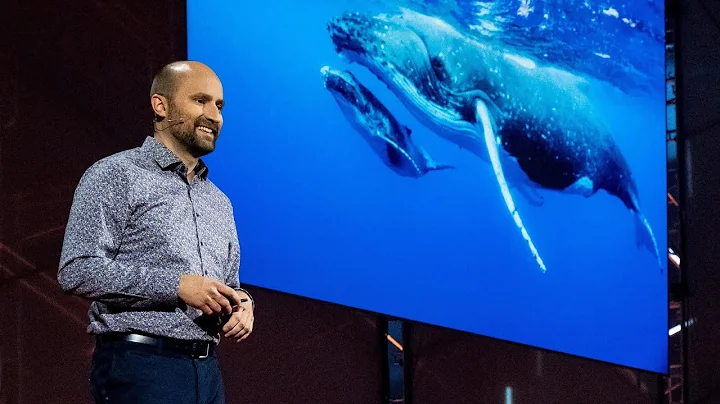 The Future of Machines That Move like Animals | Robert Katzschmann | TED