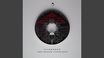 Insect Orchestra (Ecoteric Remix)