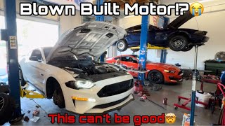 Built Motor BLOWS UP On First Start!!! #Ford #Mustang #GT