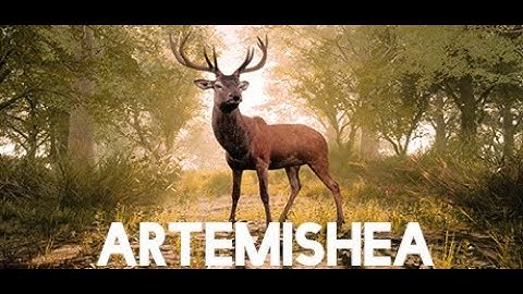 Artemishea First Impressions