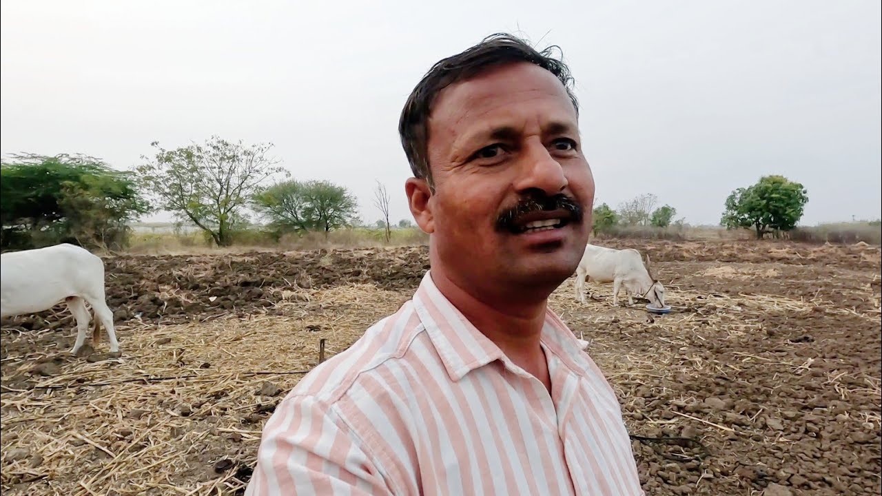 जे असेल ते गप गुमान