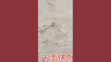 August 12 2025 