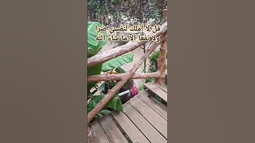 قرآن كريم راحة نفسية #تلاوة_قرآن #القرآن_الكريم #quranforthesoul