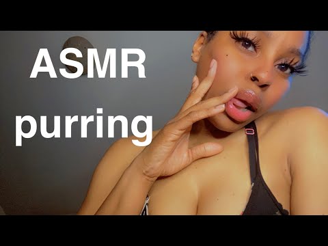 ASMR | POV Purring To You Before bed