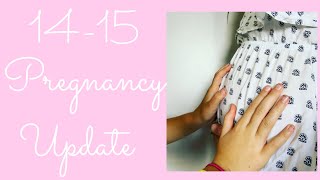 14-15 week pregnancy update