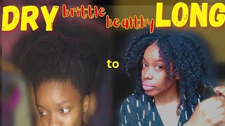 Grew my DRY HAIR, HEALTHY long, here's how |type 4