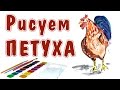 КАК НАРИСОВАТЬ ПЕТУХА. How to draw a cock