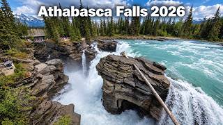 Athabasca Falls 2026 - What I rediscovered in 2026
