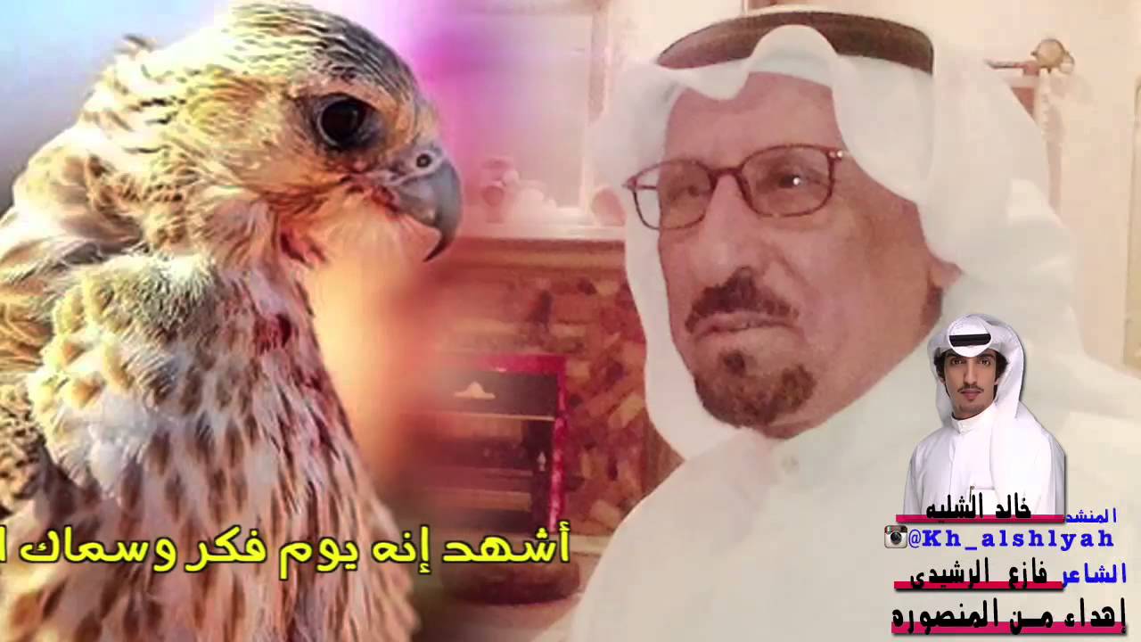 شيلة الزعيم