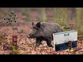 Testing  baschieri  pellagri 9 pellets buckshot with high speed camera   9  bp