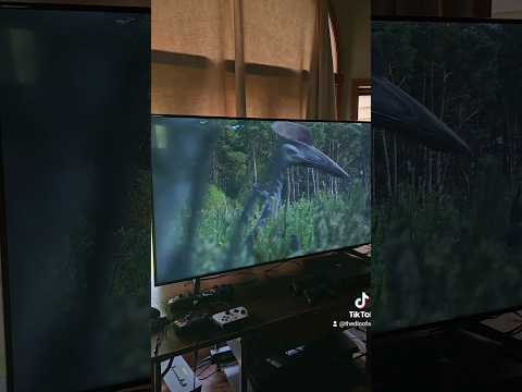 Hatzegopteryx Attack! Prehistoric