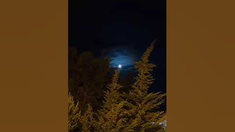 تلاوة هادئة آسرة - محمد الشريف حويل - سورة الإسراء