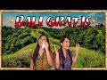 BALI: ¡TODO esto es GRATIS 😱! Guía de Ubud | MPV en Indonesia 🇮🇩#7