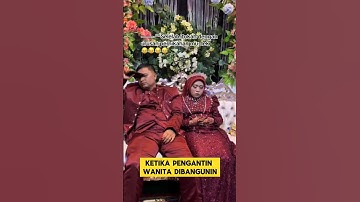 momen lucu ketika pengantin ketiduran di pelaminan bikin ngakak ‼️‼️ #ngakak #lucu  #pengantinviral
