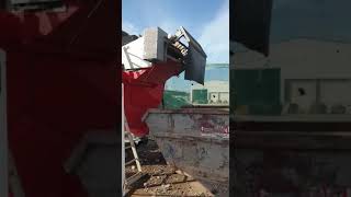 Wash Bear Xl - Orba Group