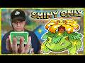 I created a SHINY HUNTING ROM HACK?! | Day 17