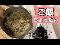 【豆柴】ご飯をもらうときの子犬の反応が可愛すぎてセコいwww【尻尾フリフリ♪】The reaction of the puppy who receives the meal is cute