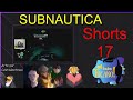 O grito que eu dei #Shorts 17