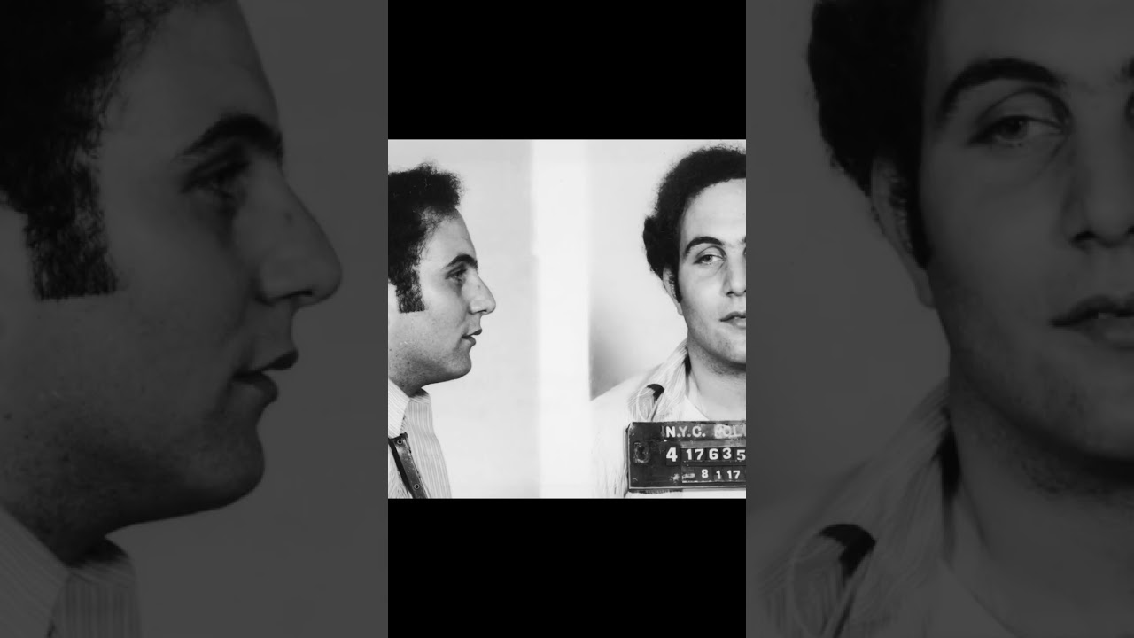 How They Got Caught: David Berkowitz YTS