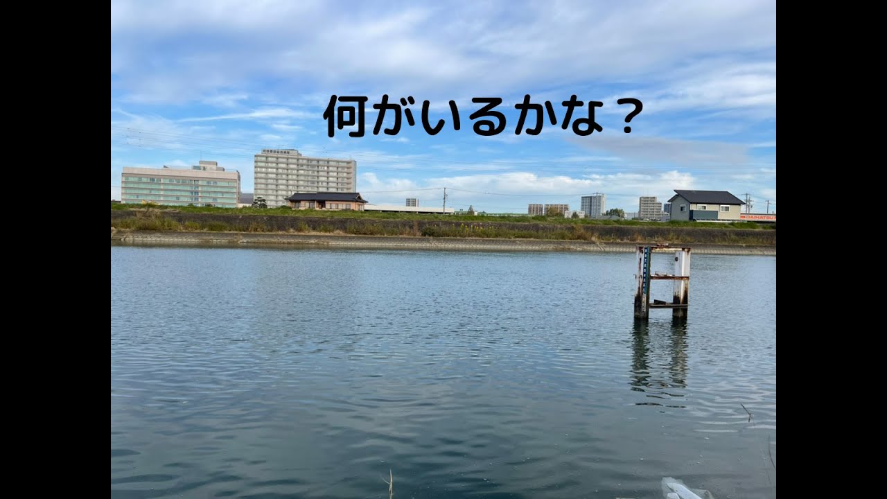 イベント情報 お知らせ イベント ブログ情報 愛知県刈谷のサービス付き高齢者向け住宅 シャトーヨサミ ウェルネス