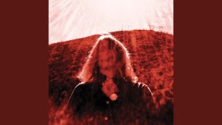 Video thumbnail of "Ty Segall - The Connection Man"