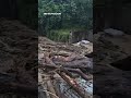 Сильные ливни вызвали наводнения и оползни в российском Сочи