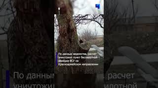Минобороны РФ опубликовало кадры боевой работы расчета ударного беспилотника «Молния-2»