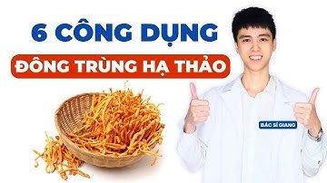 6 Công Dụng Đặc Biệt Của Đông Trùng Hạ Thảo Mà Bạn Cần Biết | Bác sĩ Giang