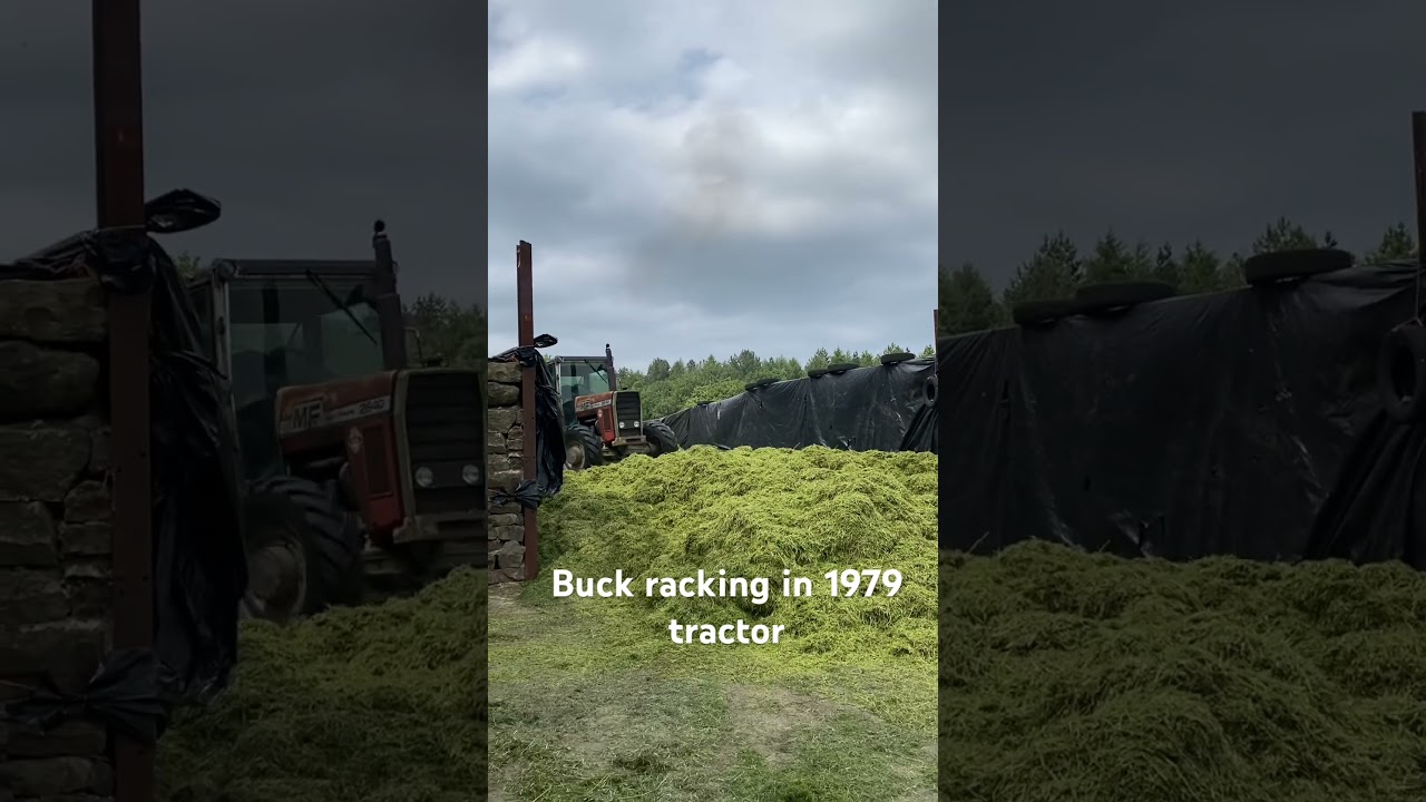 Old machinery works well #farmlife #cuttingthegrass #farming #farm #masseyferguson
