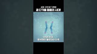 세포 리프로그래밍, 곧 다가올 젊음의 시대! -1