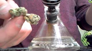 Strain Review: Strawberry Cough + Cheese
