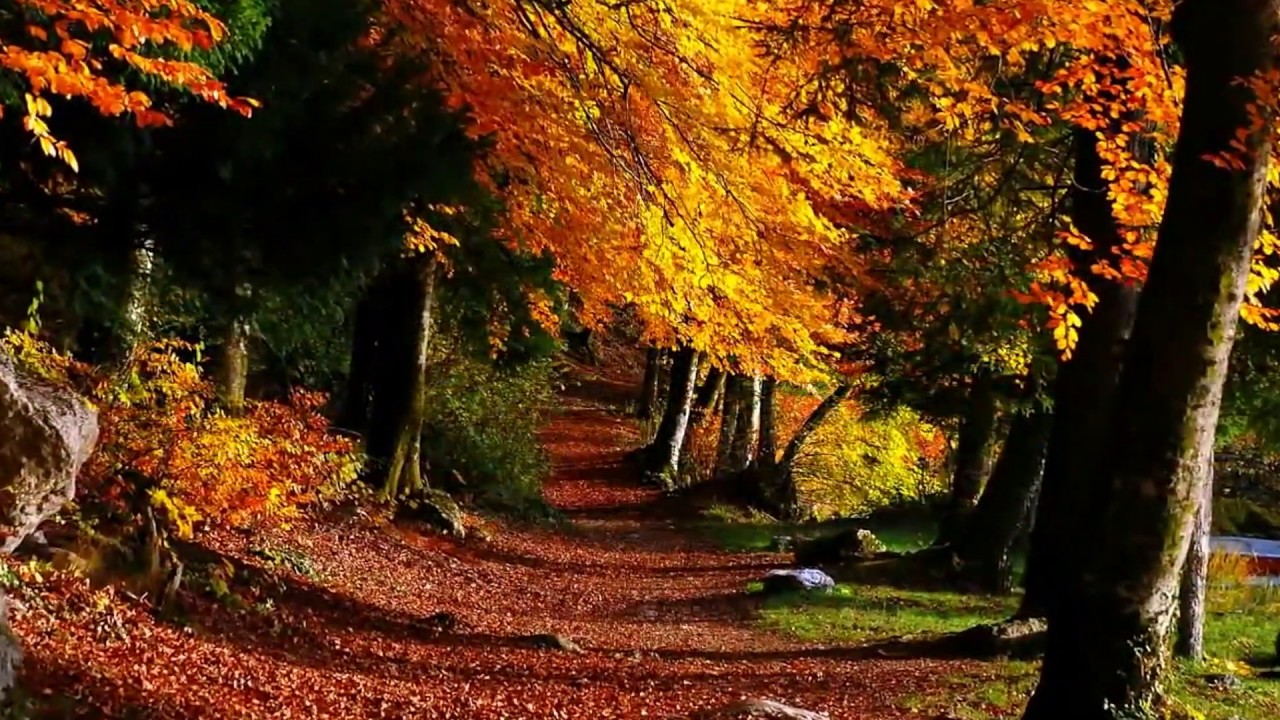 Красивая фортепианная музыка для души /Romantic piano music