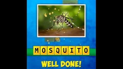 4 Little Squares game answers level 4