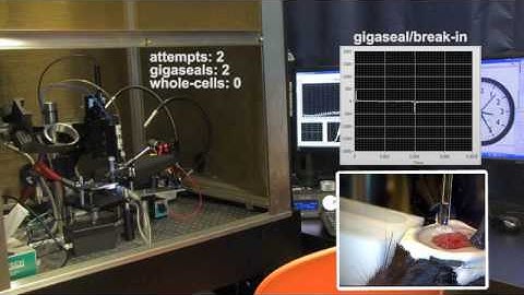 The patcherBot: Automated in-vivo patch-clamp recording using pipette cleaning