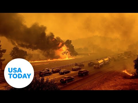 Woman frantically searches for animals as LNU Lightning Complex Fire engulfs ranch | USA TODAY