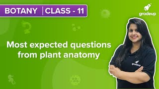 Most expected questions from  plant anatomy
