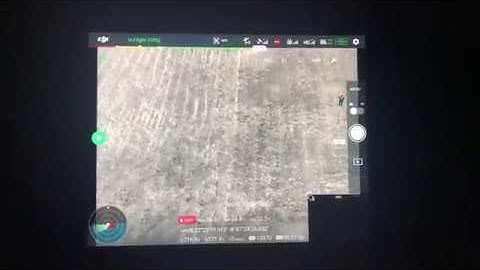 DJI XT2  —  Alarm Mode in SAR