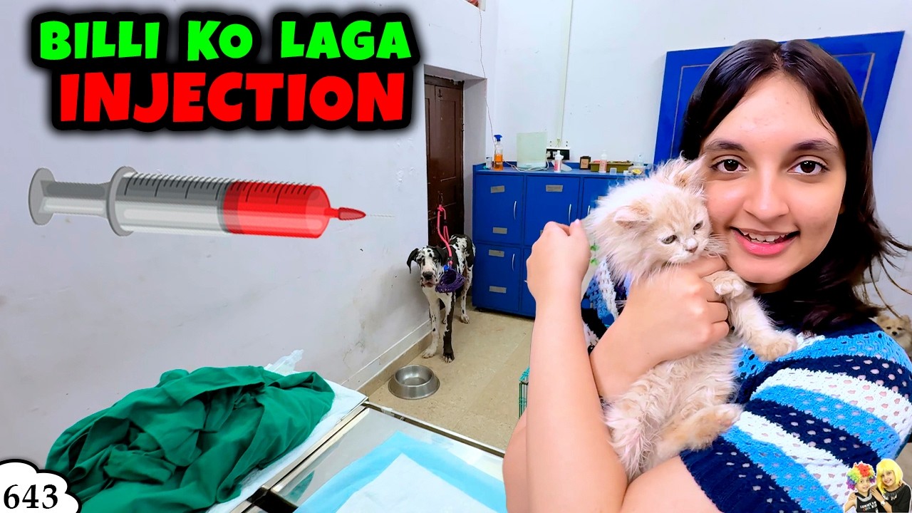 BILLI KO LAGA INJECTION | Cookie ka vaccination | Aayu and Pihu Show