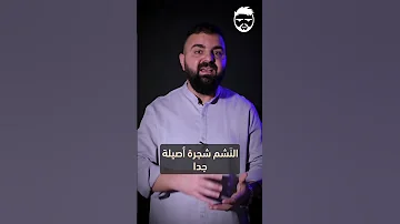 معنى لقب النشامى الأردن قصة في دقيقة القائف نشامى الأردن النشامى 