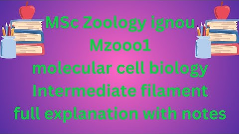 MSc Zoology ignou MZO-001 Molecular cell biology Intermediate filament full explanation with notes
