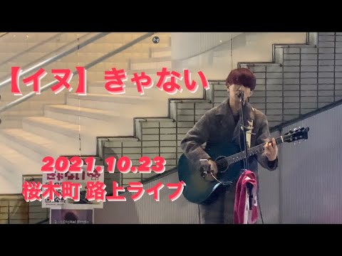 【イヌ/きゃない】 歌詞付き 2021.10.23 桜木町駅 路上ライブ #きゃない #イヌ #路上ライブ