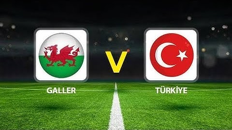 Galler 0-0 Türkiye HD Maç Özeti