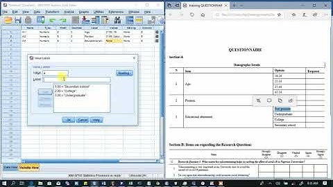 SPSS Questionnaire  survey data entry part1