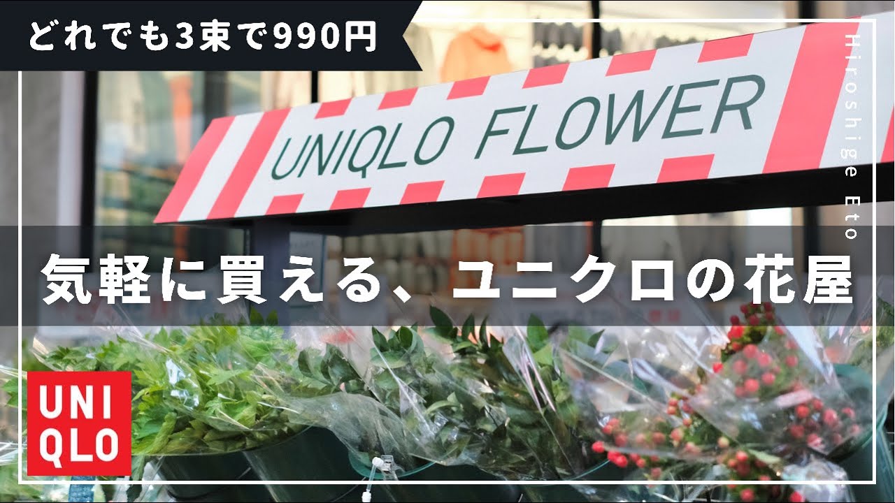 ユニクロの花屋 観葉植物との暮らし 3束990円のユニクロフラワー Uniqlo Flower Youtube