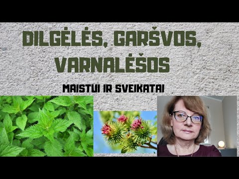 Dilgėlės, garšvos, varnalėšos | Maistui ir sveikatai